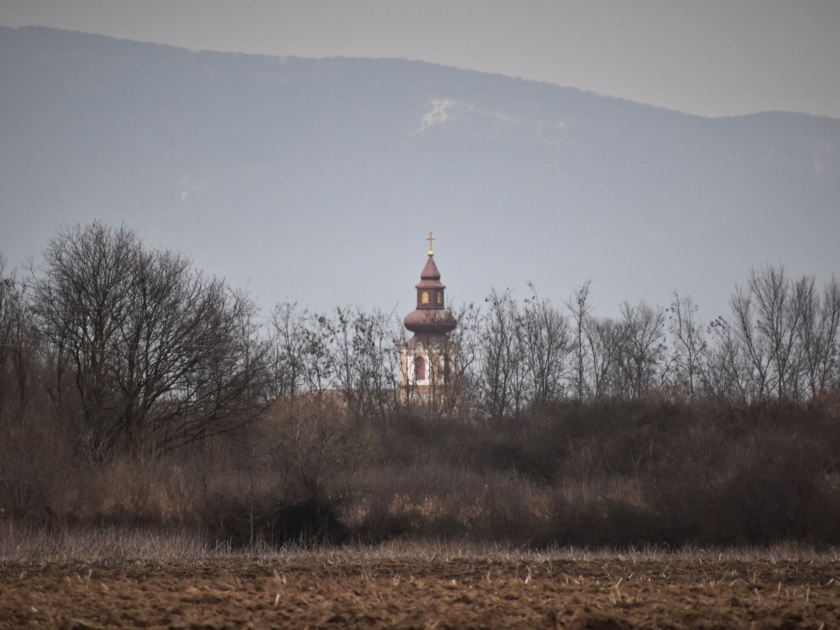 Treburi din Noiembrie // Works of November