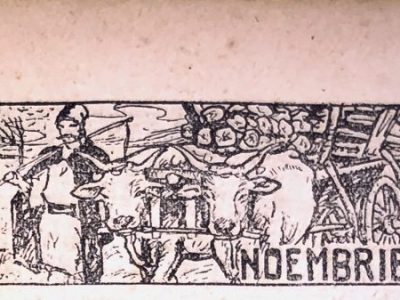 Treburile lunii Noiembrie // Chores of November