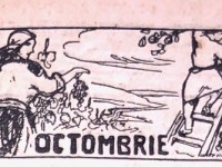 Treburile lunii Octombrie // Chores of October