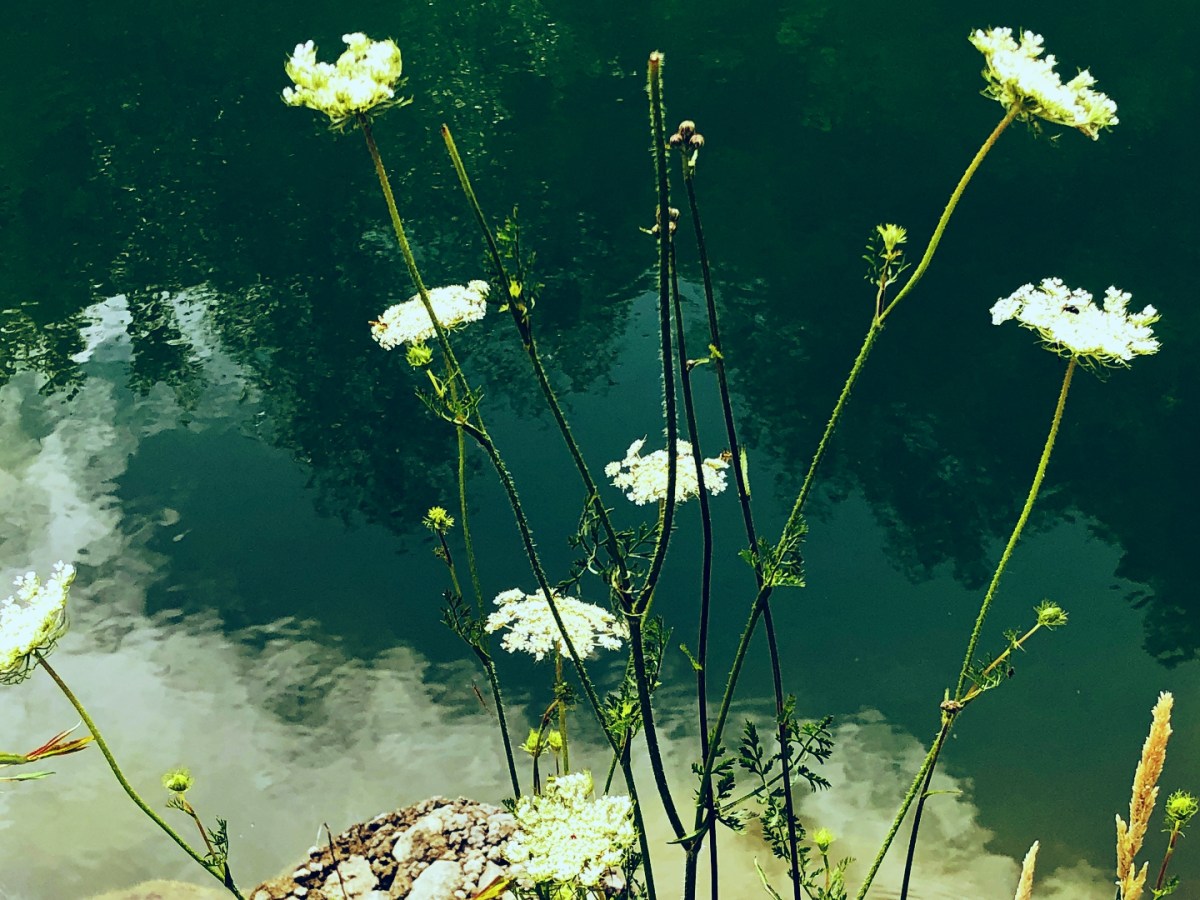 Tom Bombadil’s song // Cântecul lui Tom Bombadil |The Lord of the Rings|Lyrics