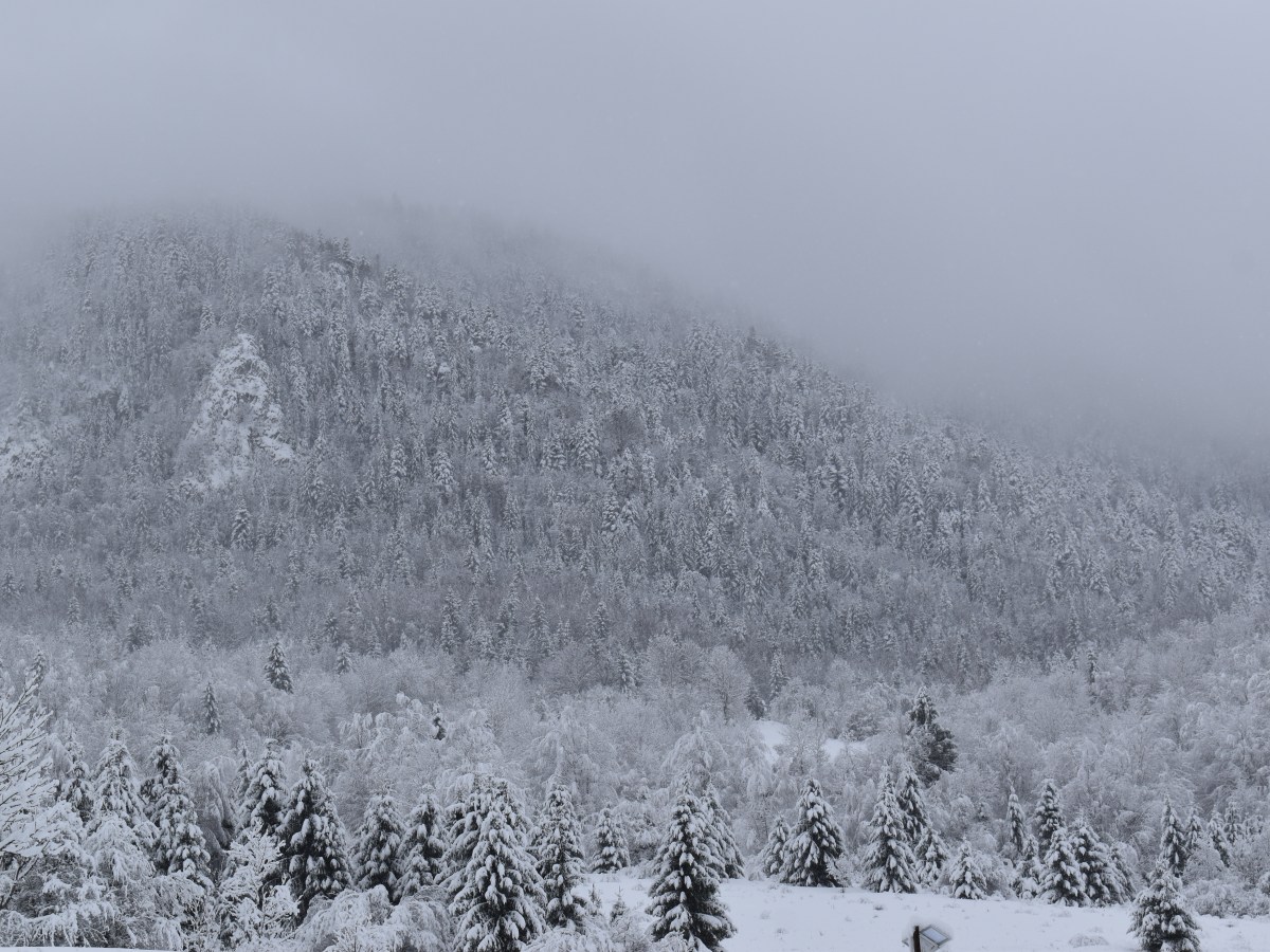 Dă, Doamne, iarnă (de Adrian Păunescu) // Let it be winter |Lyrics